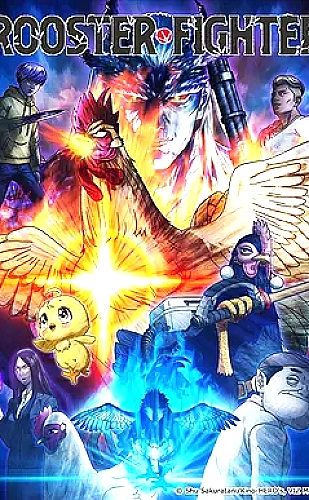 玫瑰视频影像创作主题：拍摄前先理解构图